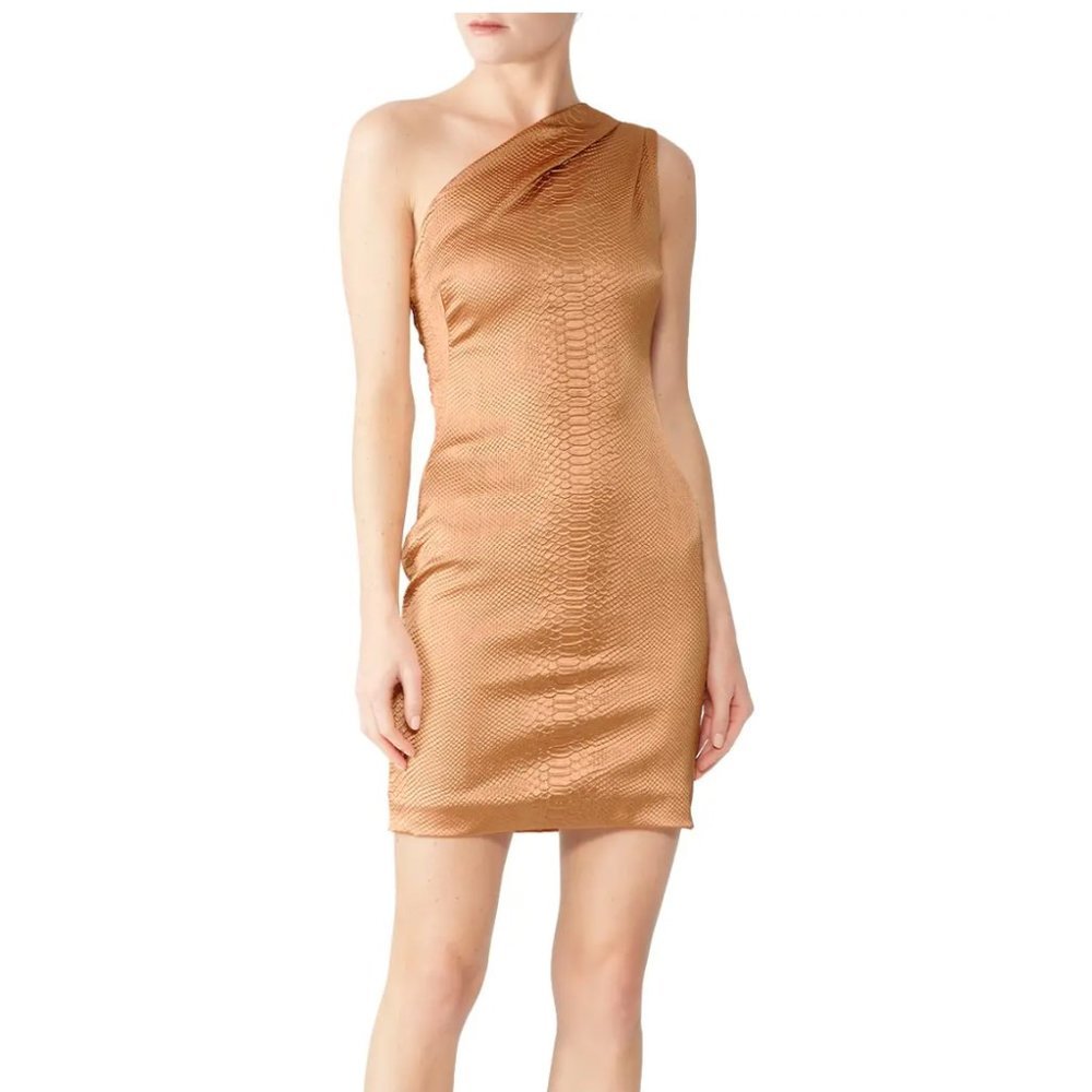 Haney | Valentina Python Mini Dress Sz 10